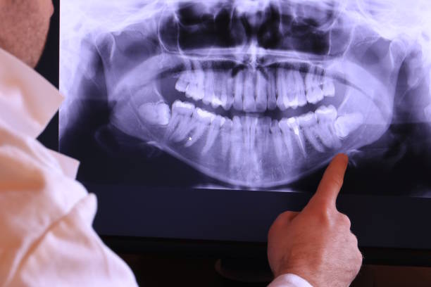 Best Emergency Orthodontic Services in Halsey, OR